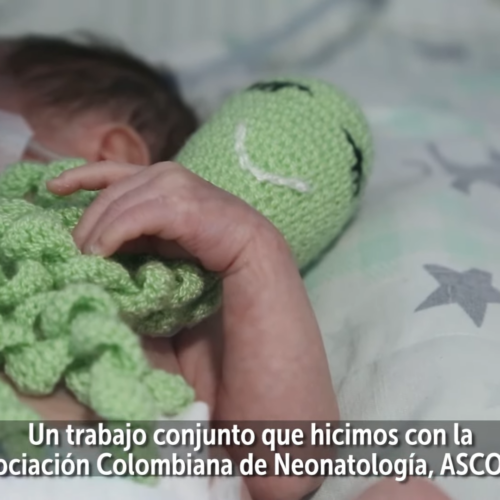 Portada video iniciativa abraza el pulpo