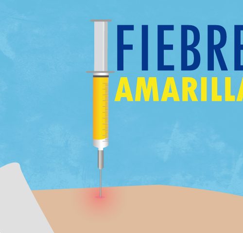Imagen fiebre amarilla