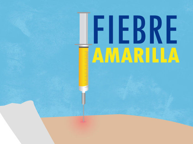 Imagen fiebre amarilla