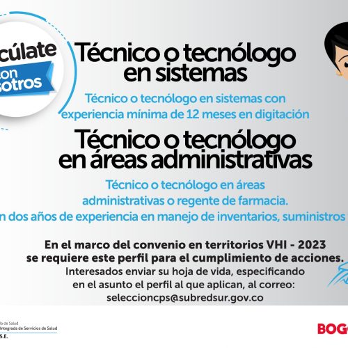 Perfil tecnico o tecnólogo en sistemas