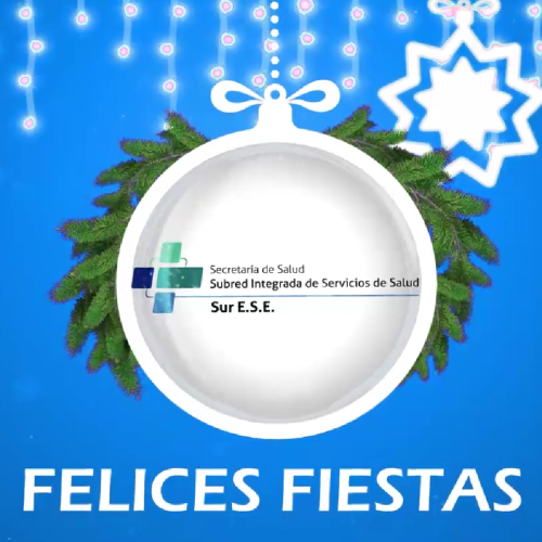Mensaje de Navidad y fin de año