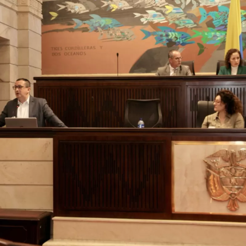 Abordaje intersectorial en salud mental es una prioridad en Bogotá​​