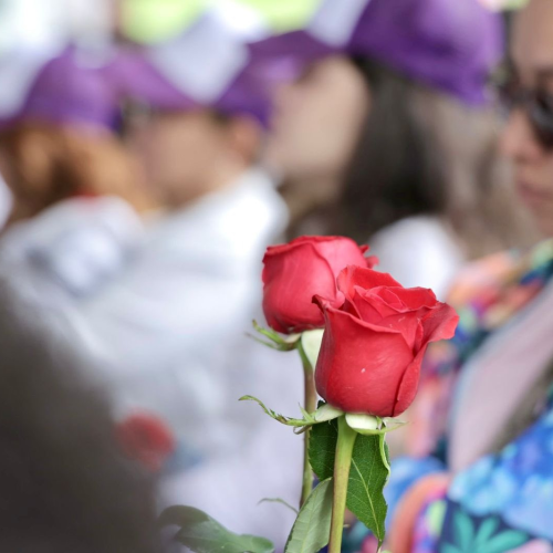 Distrito pidió perdón a familiares de Rosa Elvira Cely en acto público de reconocimiento