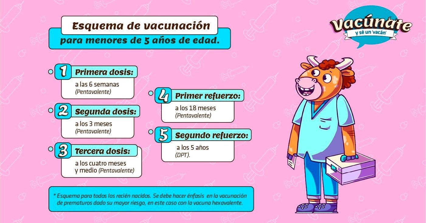 Imagen Esquema de vacunación niños 5 años