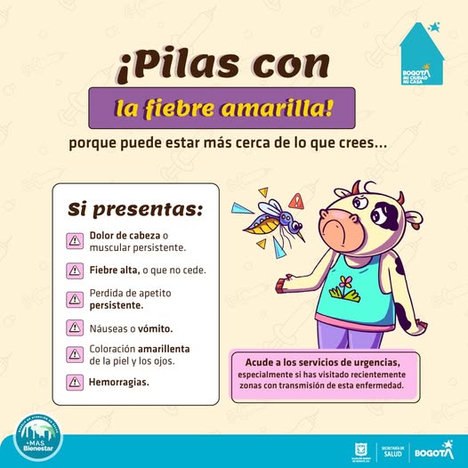 Imagen fiebre amarilla