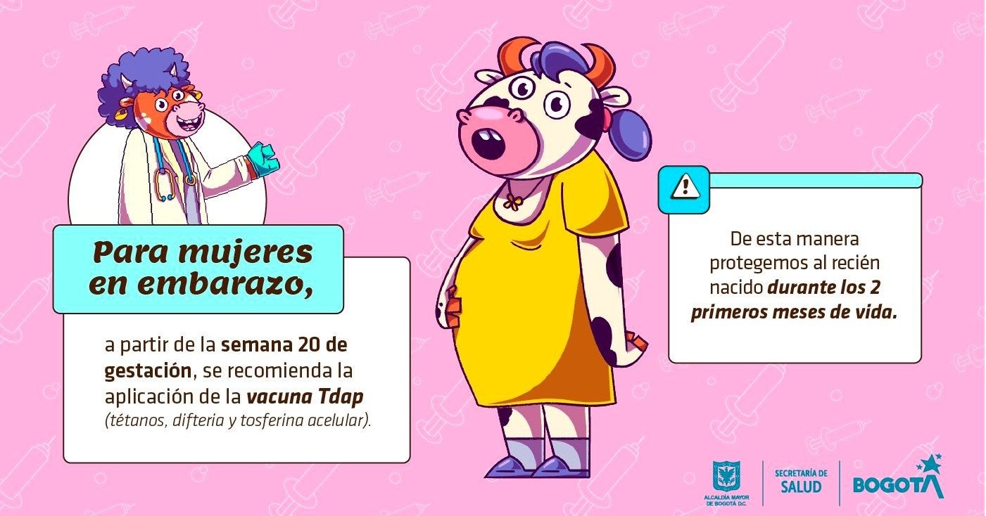 Imagen - Vacúnate mujeres en embarazo