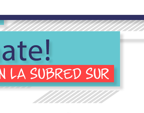 Infórmate con la Subred Sur Ed. 10