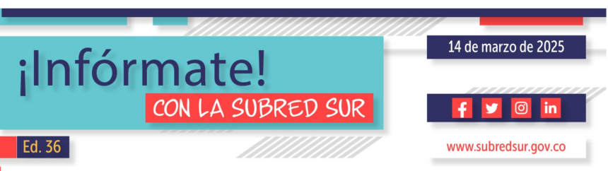 Infórmate con la Subred Sur Ed. 36