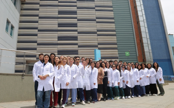 Inducción y culminación de internados en Meissen y Tunal