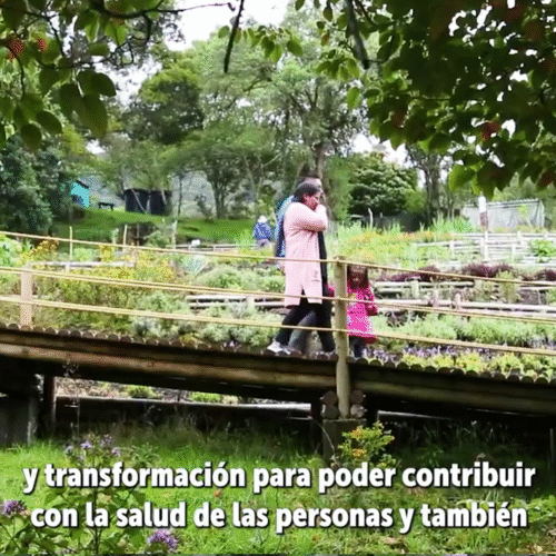 Parque Chaquén – Responsabilidad Social