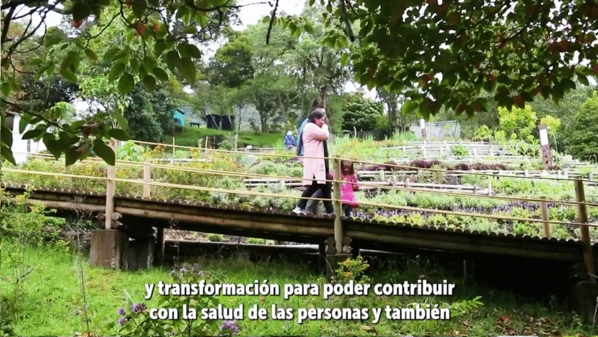 Parque Chaquén – Responsabilidad Social