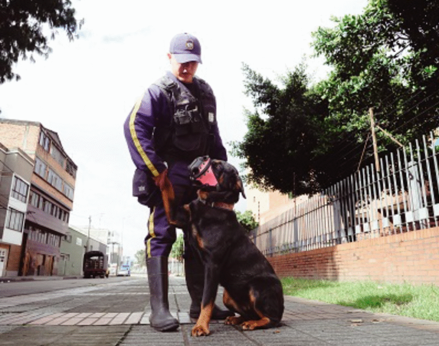En compromiso con los animales, la Secretaría de Salud apuesta por una seguridad sin perros