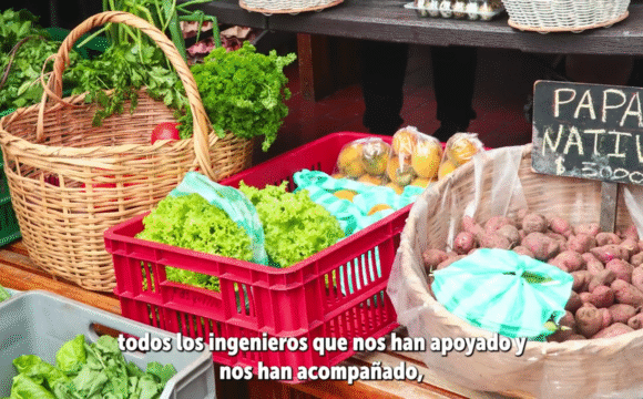 Estrategia de Responsabilidad Social