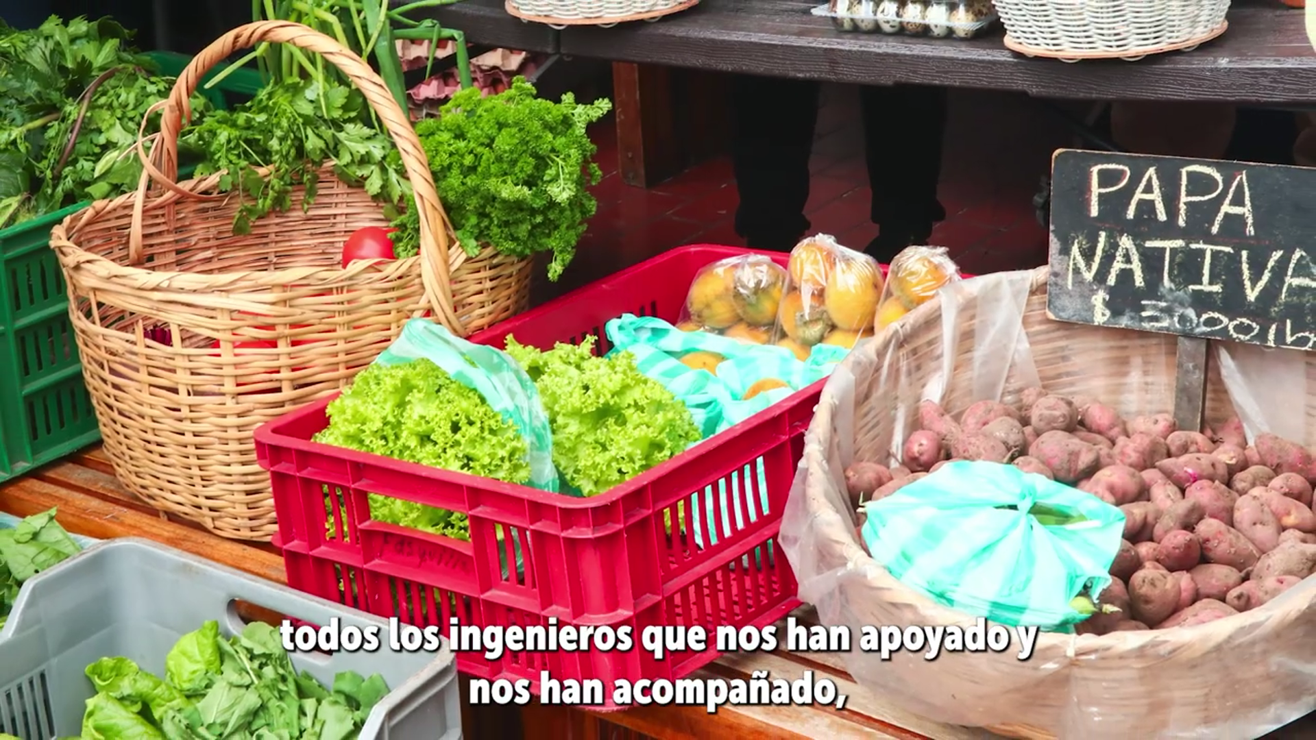 Estrategia de Responsabilidad Social