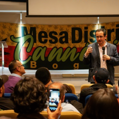 Mesa Distrital Cannábica