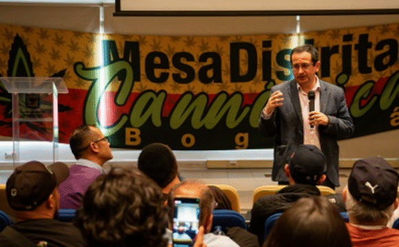 Mesa Distrital Cannábica