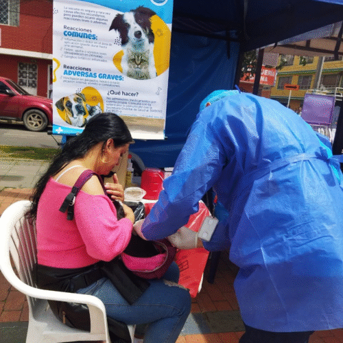 Vacunación antirrábica Vacunación