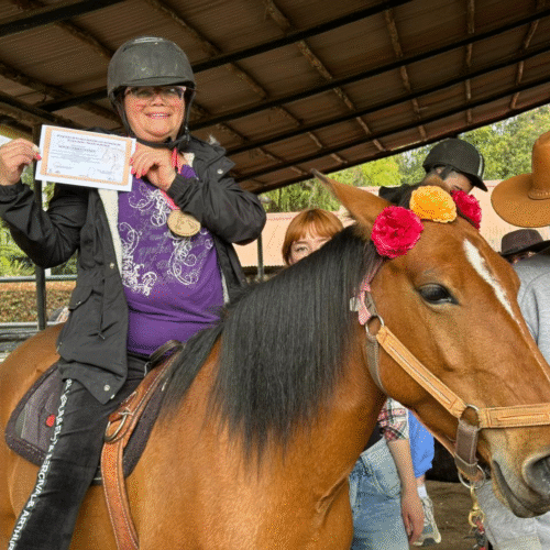 Terapia asistida Equinoterapia