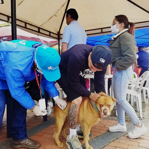 Jornada de vacunación