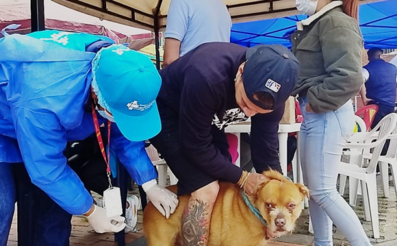 Jornada de vacunación