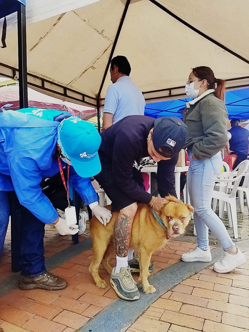 Jornada de vacunación