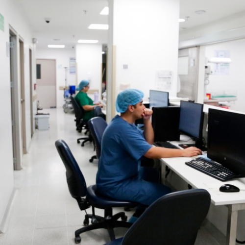 Cuatro salas en Meissen