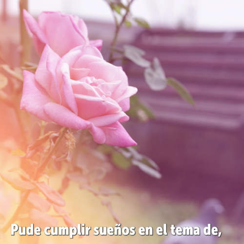 Donación de órganos