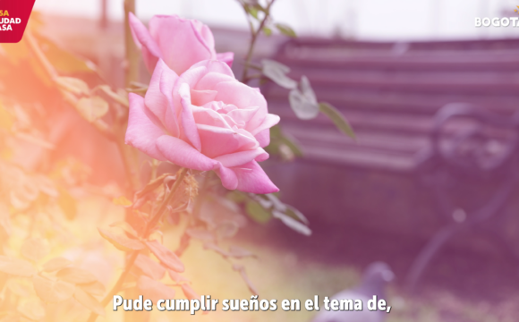 Donación de órganos