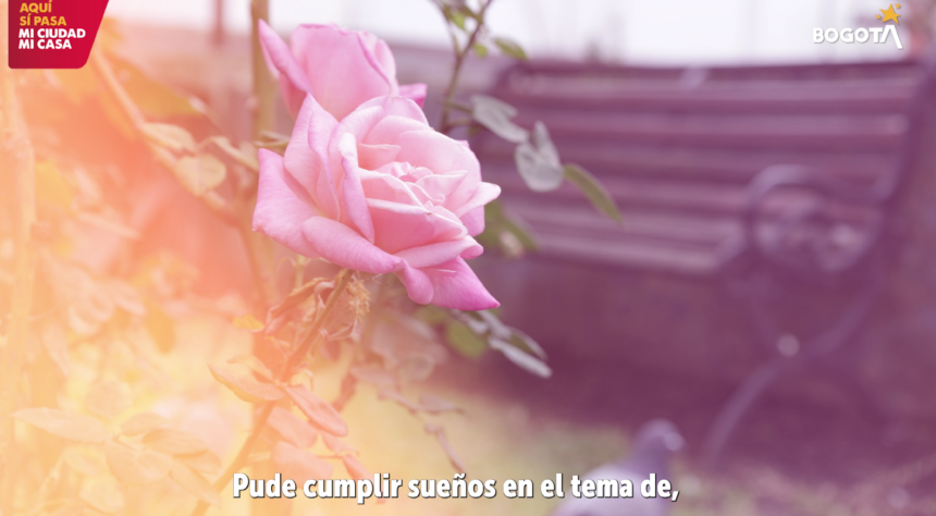 Donación de órganos