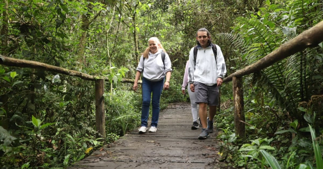 Caminatas ecológicas en Bogotá